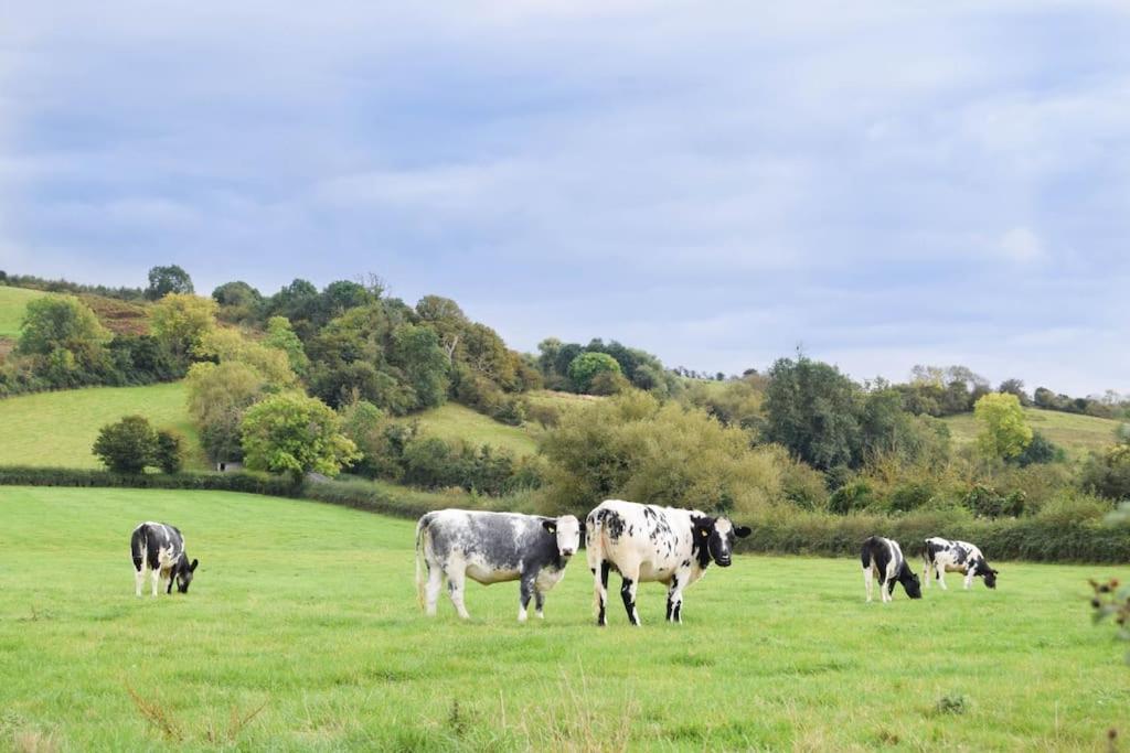 Nr Bicester Village 5 Star Luxury On Farm Piddington Exteriör bild